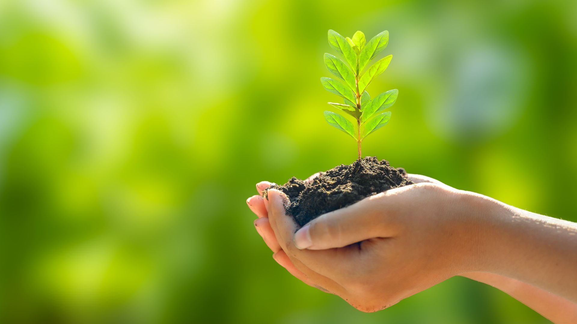 Sustentabilidade é pauta permanente na Agência de Fomento do RN